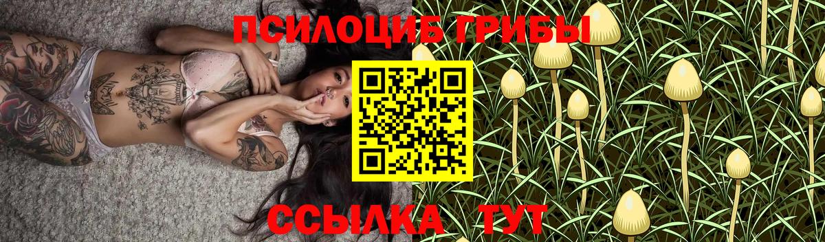 Галлюциногенные грибы ЛСД Малоярославец