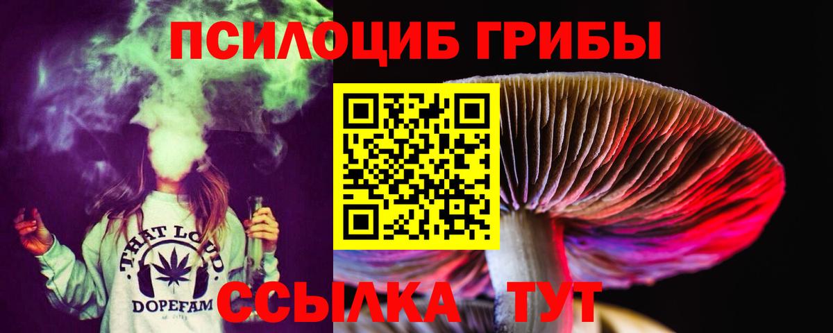 Псилоцибиновые грибы GOLDEN TEACHER  Вход с VPN  Малоярославец 